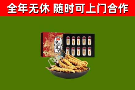 鹰潭回收冬虫夏草价格